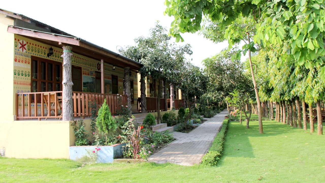 Rhino Land Jungle Lodge Sauraha Eksteriør bilde