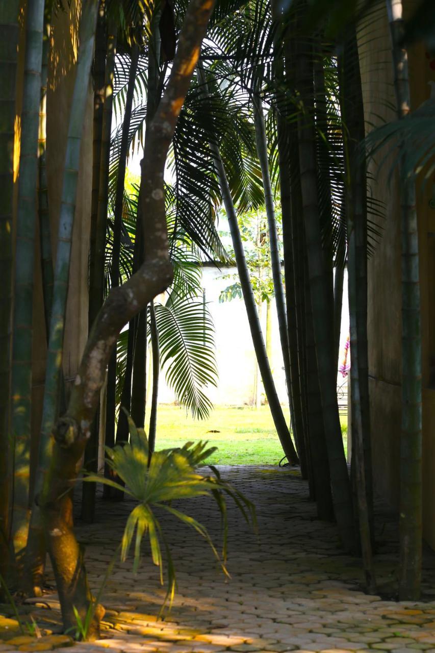 Rhino Land Jungle Lodge Sauraha Eksteriør bilde